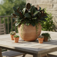 Celle Bulbous Round Ceramic Vase