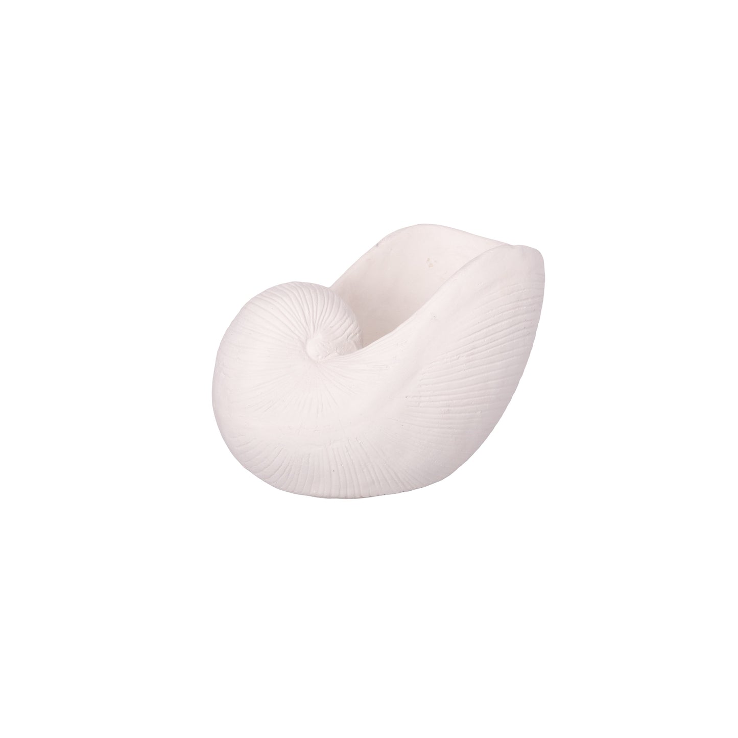 Levelle Polyresin Seashell Planter