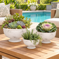 Iris Cement Urn Planter