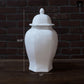 Biann Ceramic Chinoiserie Ginger Jar