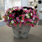 Olya Textured Barrel-Style Cement Planter