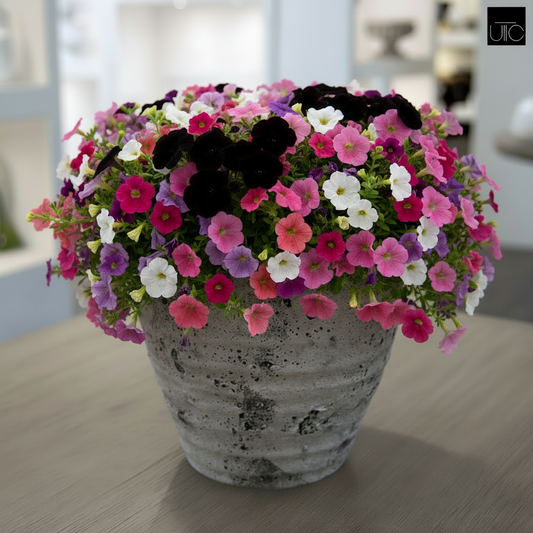 Olya Textured Barrel-Style Cement Planter