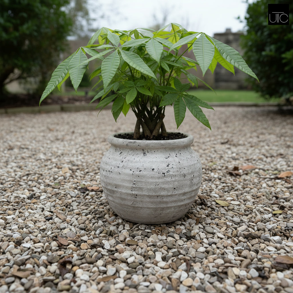 Kamilia Rustic Bell-Shaped Cement Planter