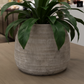 Larysa Ribbed Cement Planter