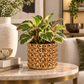 Valera Bronze Stoneware Planter