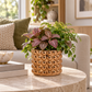 Valera Bronze Stoneware Planter
