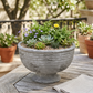 Iris Cement Urn Planter