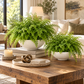 Alexis Fluted Ceramic Bowl Planters (Set of 2)