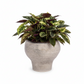 Grevelle Rounded Ceramic Vase