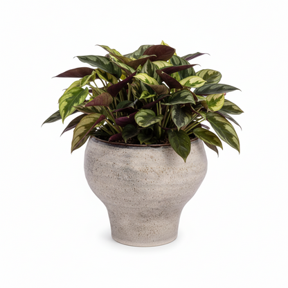 Grevelle Rounded Ceramic Vase