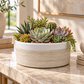 Abril Round Squat Planter Bowl