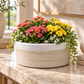 Abril Round Squat Planter Bowl