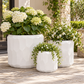 Vara Embossed White Ceramic Pot Set (Set of 3)