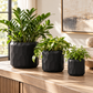 Vara Embossed White Ceramic Pot Set (Set of 3)