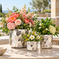 Vara Embossed White Ceramic Pot Set (Set of 3)