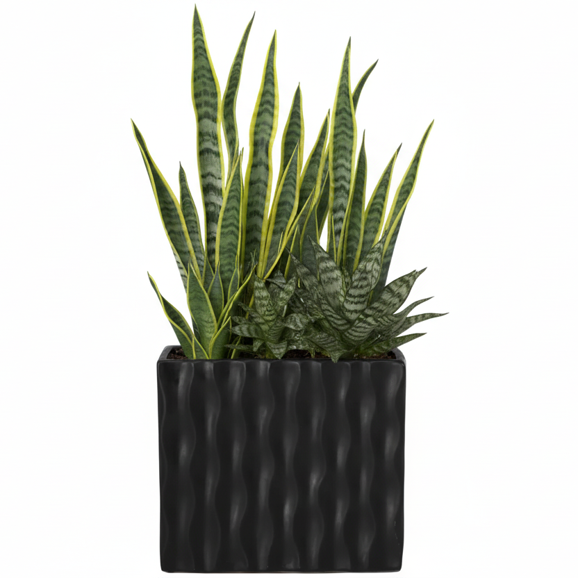 Wynn Geometric Ceramic Vase