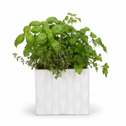 Wynn Geometric Ceramic Vase