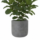 Neyra Terracotta Round Pot