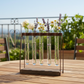 Oaklynn Metal Clustered Hanging Bud Vase Holder