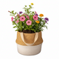 Brennan Round Terracotta Pot with Handle