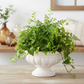 Anne Stoneware Decorative Pot