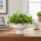 Anne Stoneware Decorative Pot