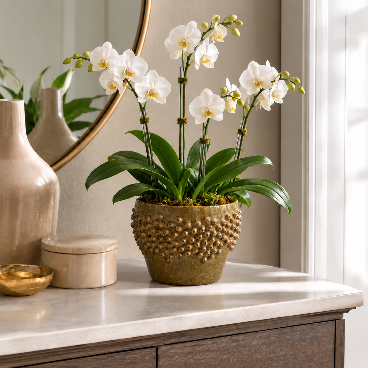 Carm Raised Bump Ceramic Pot