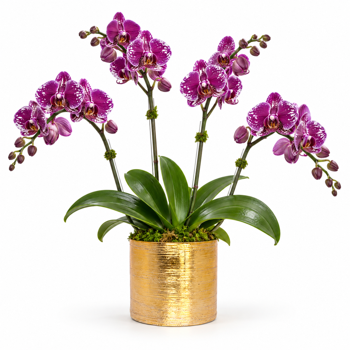 A potted artificial Phalaenopsis orchid arrangement with bright purple flowers, green leaves, and a textured metallic gold pot on a white background.