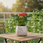 Larysa Ribbed Cement Planter