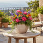 Misu Handcrafted Faceted Terracotta Planter Vase