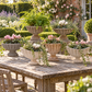 A rustic outdoor garden scene with several large stone urn planters arranged on a weathered wooden table. The planters contain green foliage and pink and white flowers, set against a backdrop of a brick building, climbing roses, and manicured hedges.