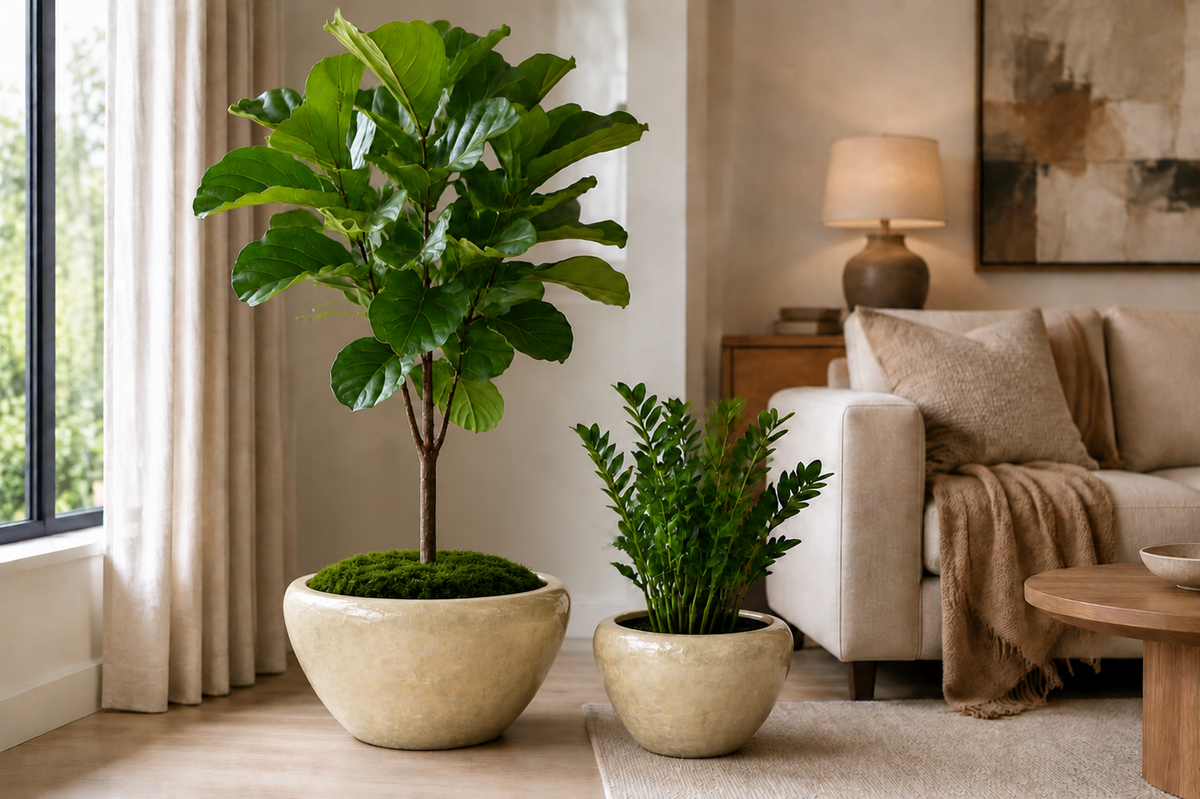 Raya Capri Shell Round Planter Set (Set of 2)