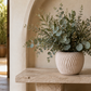 Rhett Rippled Ceramic Planter