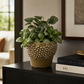 Carm Raised Bump Ceramic Pot