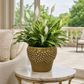 Carm Raised Bump Ceramic Pot