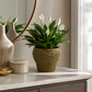 Carm Raised Bump Ceramic Pot