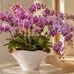 Ulysse Ruffled Rim Ceramic Vase