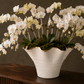 Galenne Curved Ceramic Vase