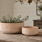 Vesper Granito Cement Bowl Planter
