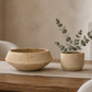 Henrietta Sculptural Cement Bowl Planter