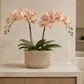 Cordelia Modern Cement Cylinder Planter