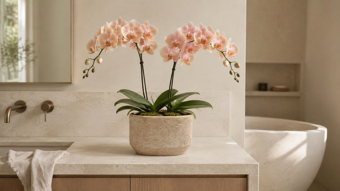 Cordelia Modern Cement Cylinder Planter
