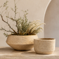 Henrietta Sculptural Cement Bowl Planter