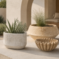 Rena Fluted Cement Bowl Planter