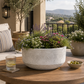 Cordelia Modern Cement Cylinder Planter