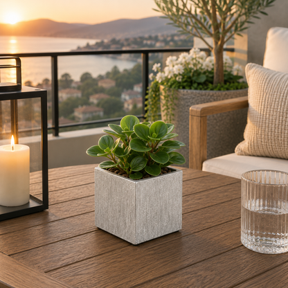 Dara Textured Cube Ceramic Planter