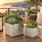 Dara Textured Cube Ceramic Planter
