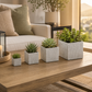 Dara Textured Cube Ceramic Planter