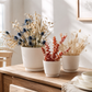 Eden Ceramic Plain Round Pot on Base Design (Set of 3)