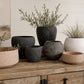 Arvo Modern Cement Bowl Planter